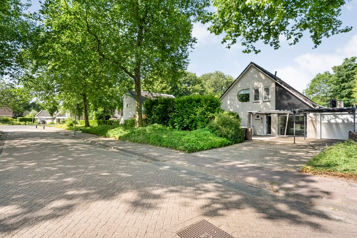 Foto 58 van Citroenvlinder 3