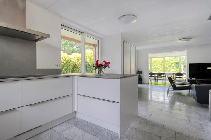 Foto 10 van Citroenvlinder 3