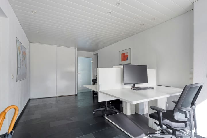 Foto 17 van Citroenvlinder 3