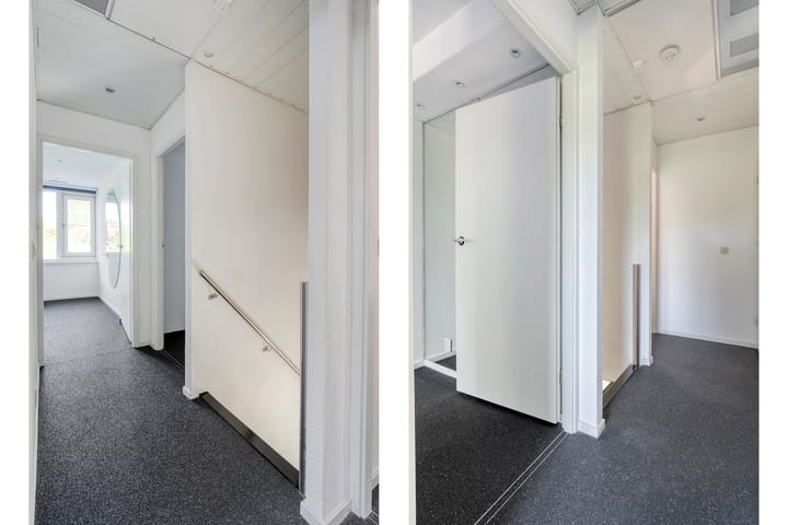 Foto 23 van Citroenvlinder 3