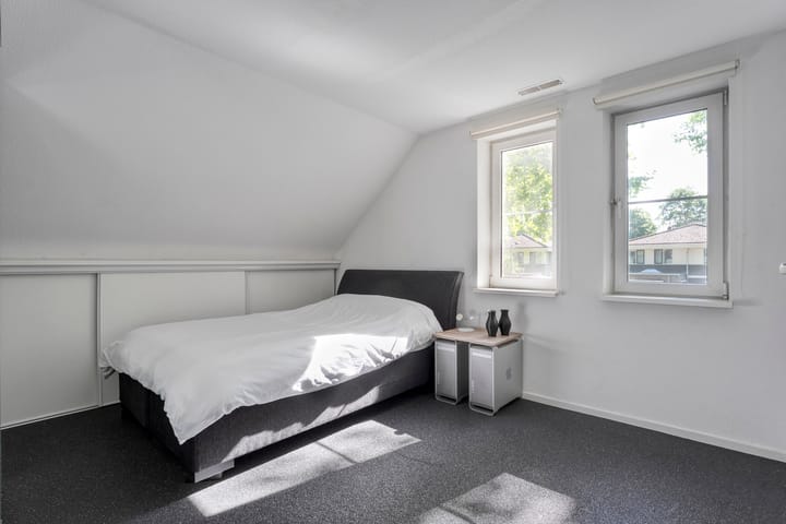 Foto 24 van Citroenvlinder 3