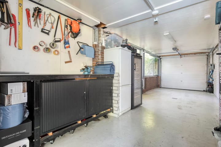 Foto 33 van Citroenvlinder 3