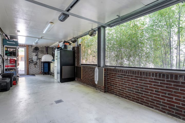 Foto 34 van Citroenvlinder 3