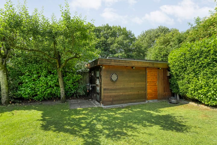 Foto 45 van Citroenvlinder 3