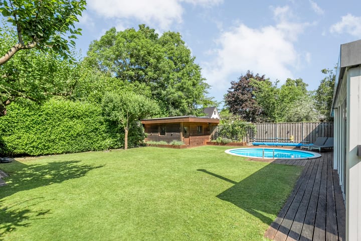 Foto 46 van Citroenvlinder 3