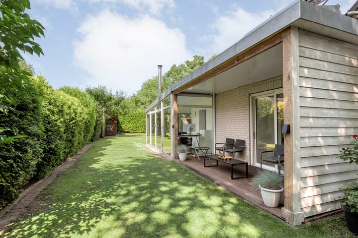 Foto 50 van Citroenvlinder 3