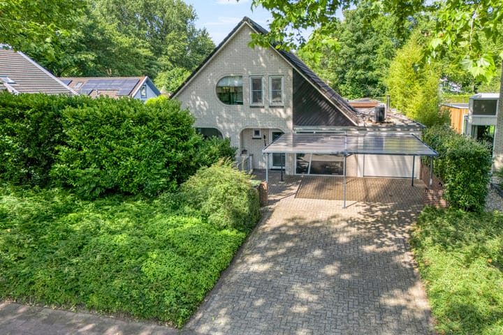 Foto 3 van Citroenvlinder 3