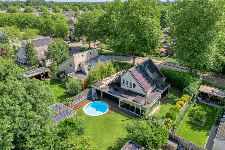 Foto 2 van Citroenvlinder 3