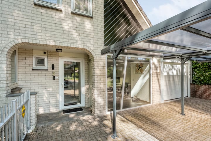 Foto 53 van Citroenvlinder 3