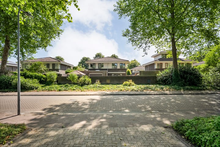 Foto 56 van Citroenvlinder 3