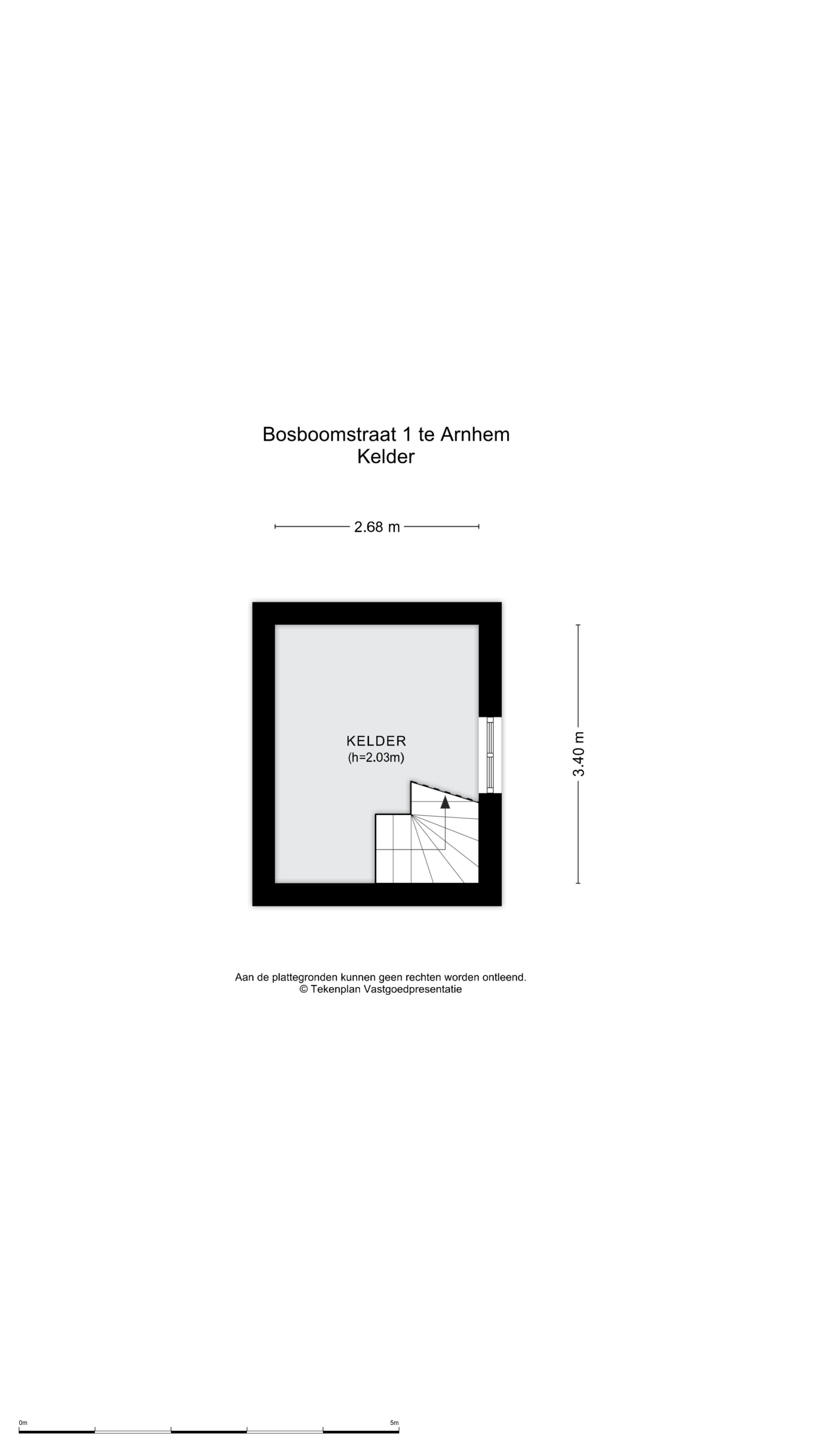 Photo 48 of Bosboomstraat 1