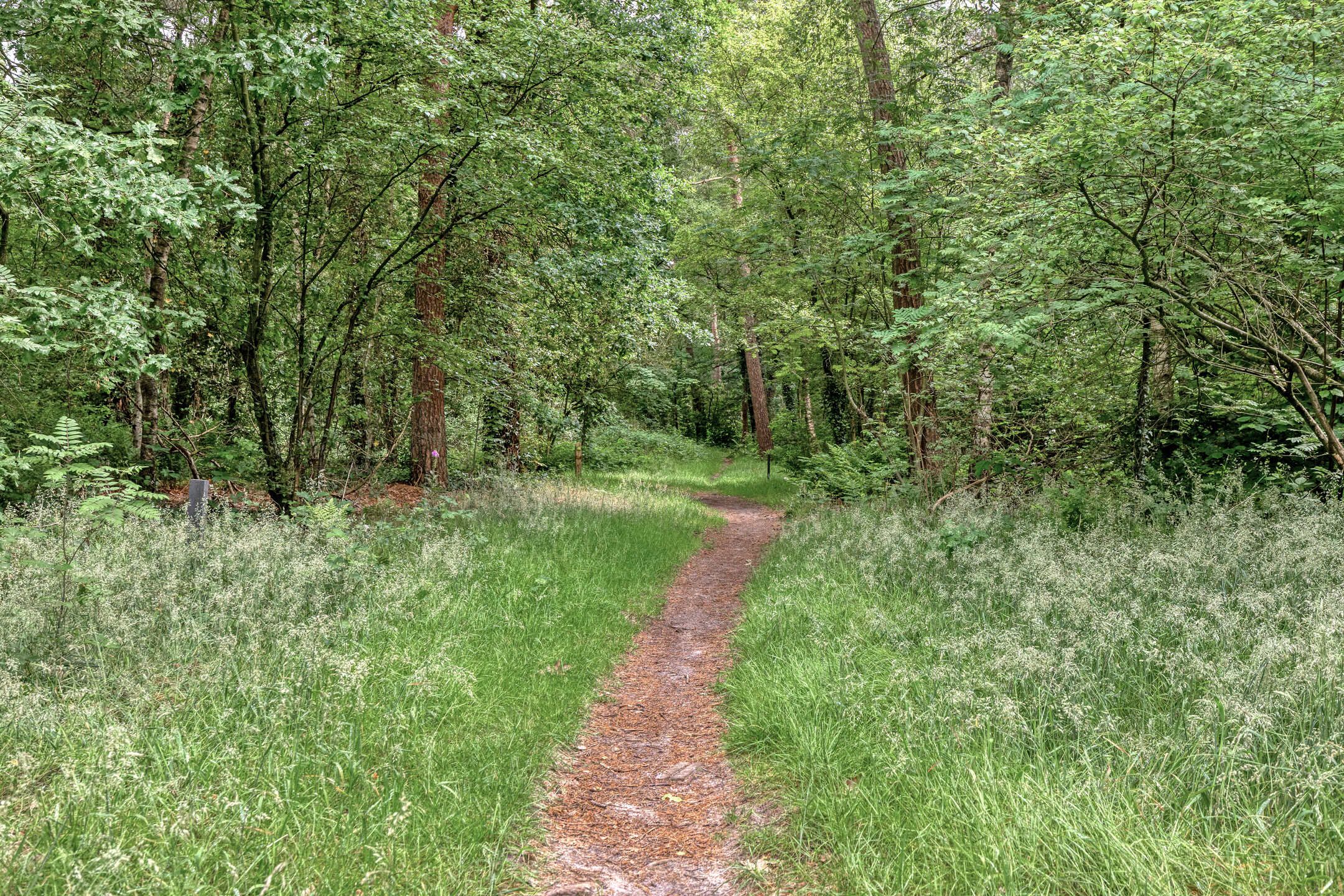 Photo 48 of Bakelseweg 30