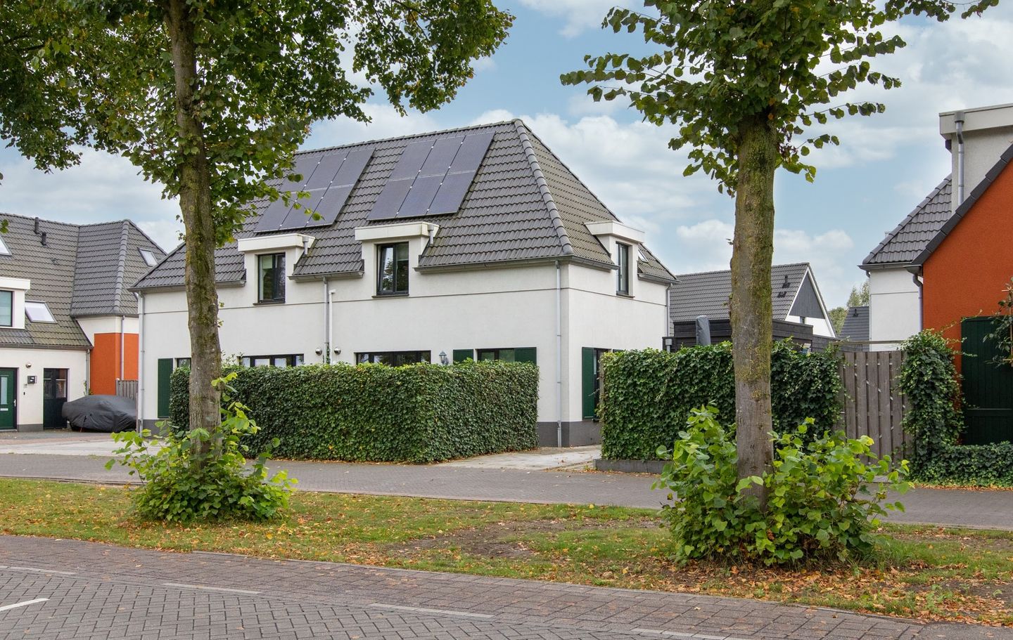 Foto 1 van Kleine Veenbes 6