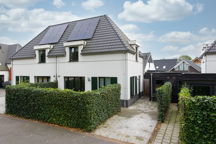 Foto 2 van Kleine Veenbes 6