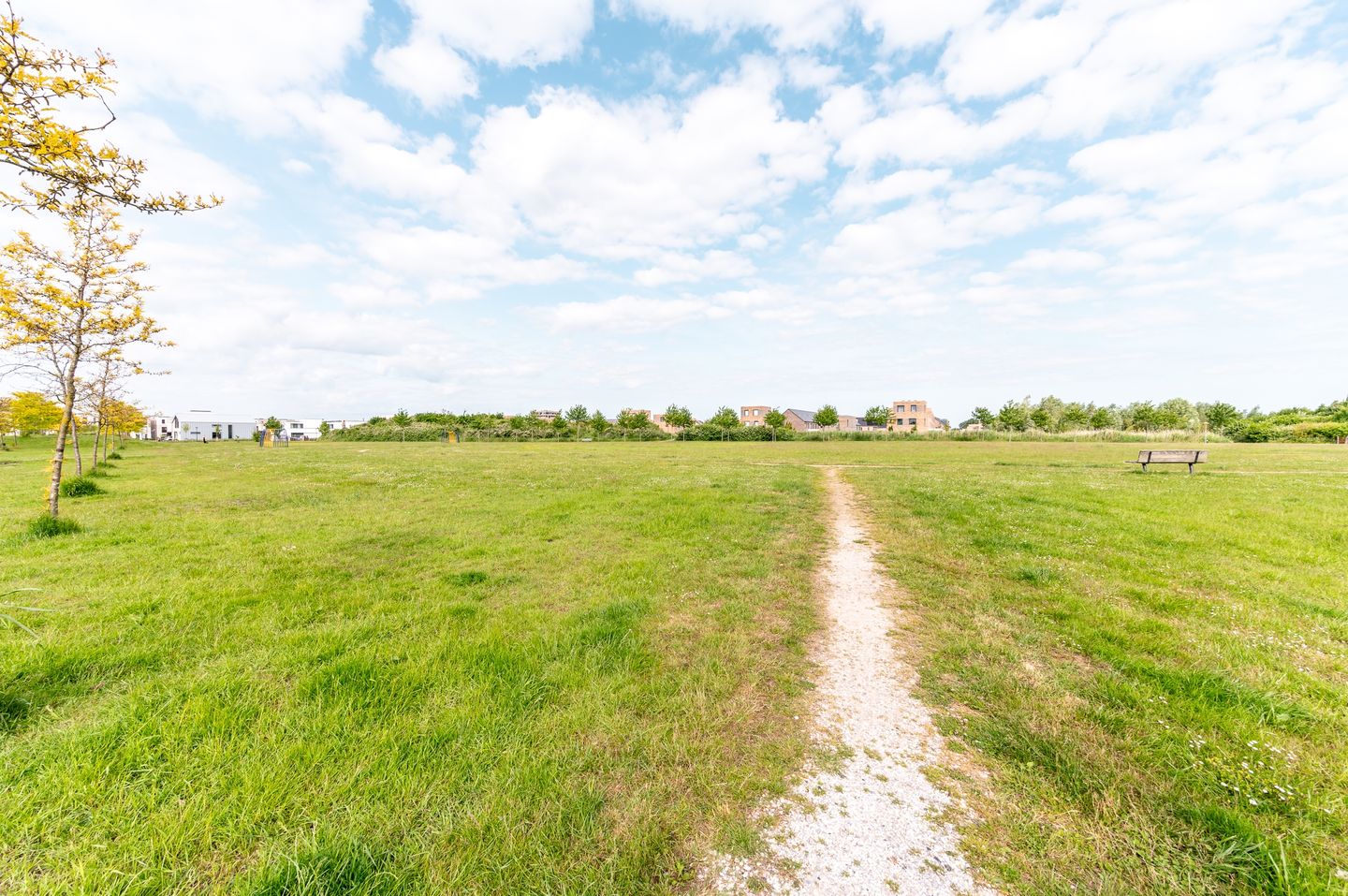 Foto 50 van Boterbloemhof 26