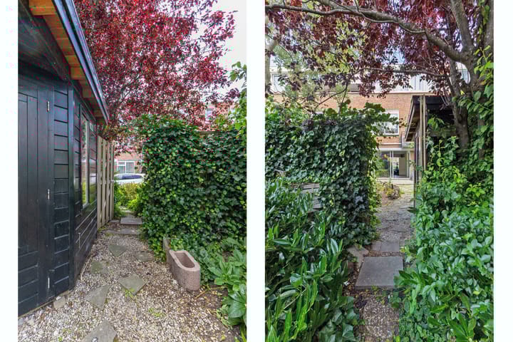 Foto 19 van Cornelis van Alkemadestraat 15