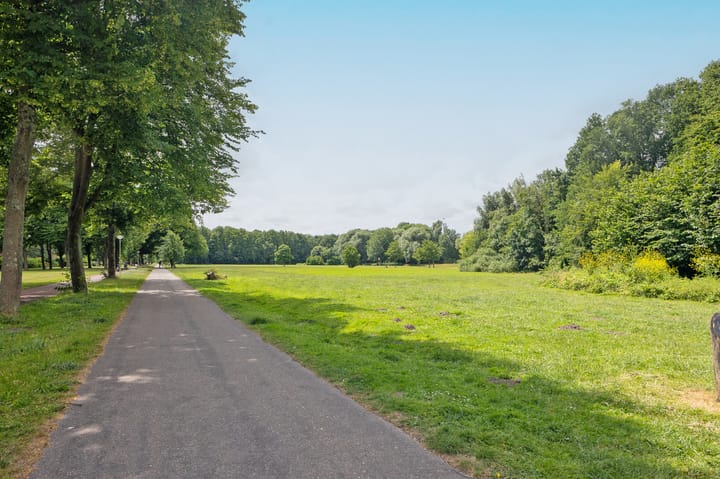 Foto 42 van Cornelis van Alkemadestraat 15