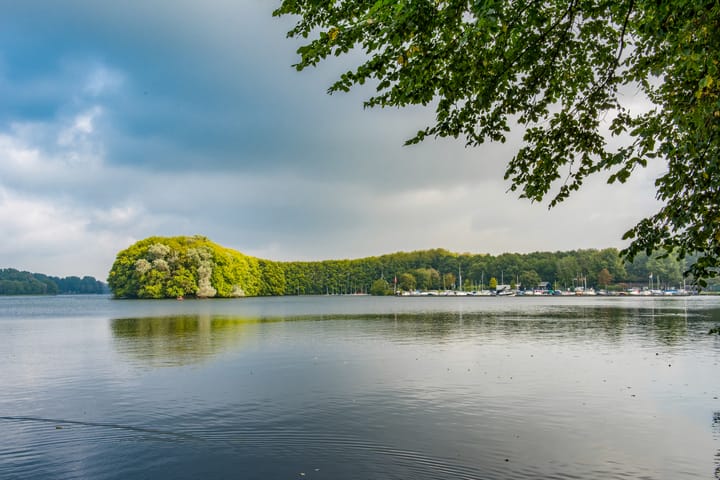 Foto 43 van Cornelis van Alkemadestraat 15