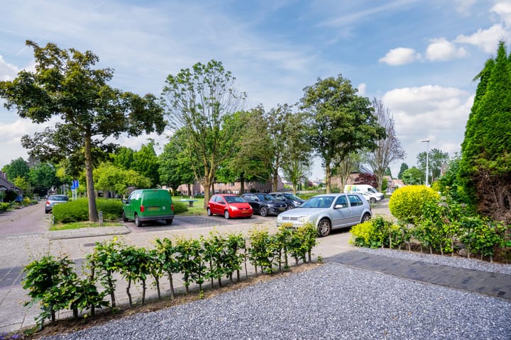 Foto 7 van Rijsberg 12