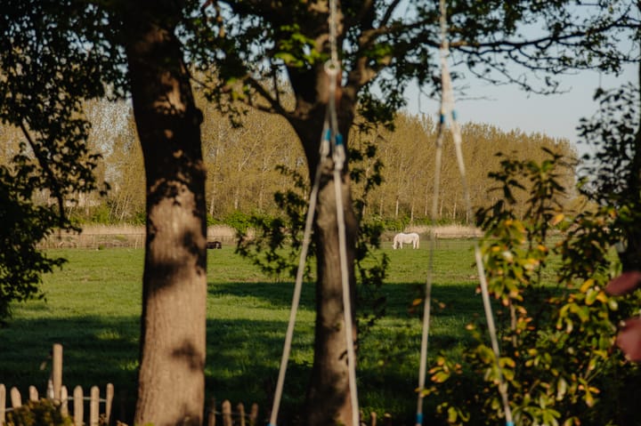 Foto 15 van Molenwetering 11