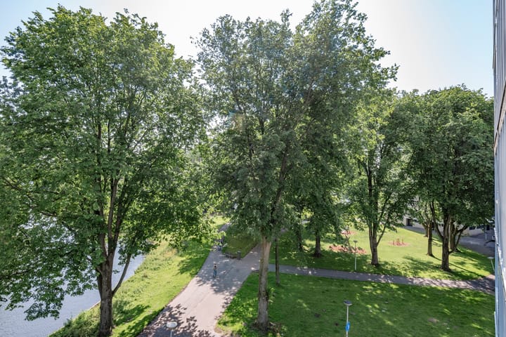 Foto 6 van Oeverpad 564