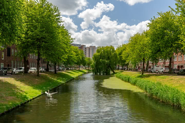 Foto 45 van Boekweitstraat 33