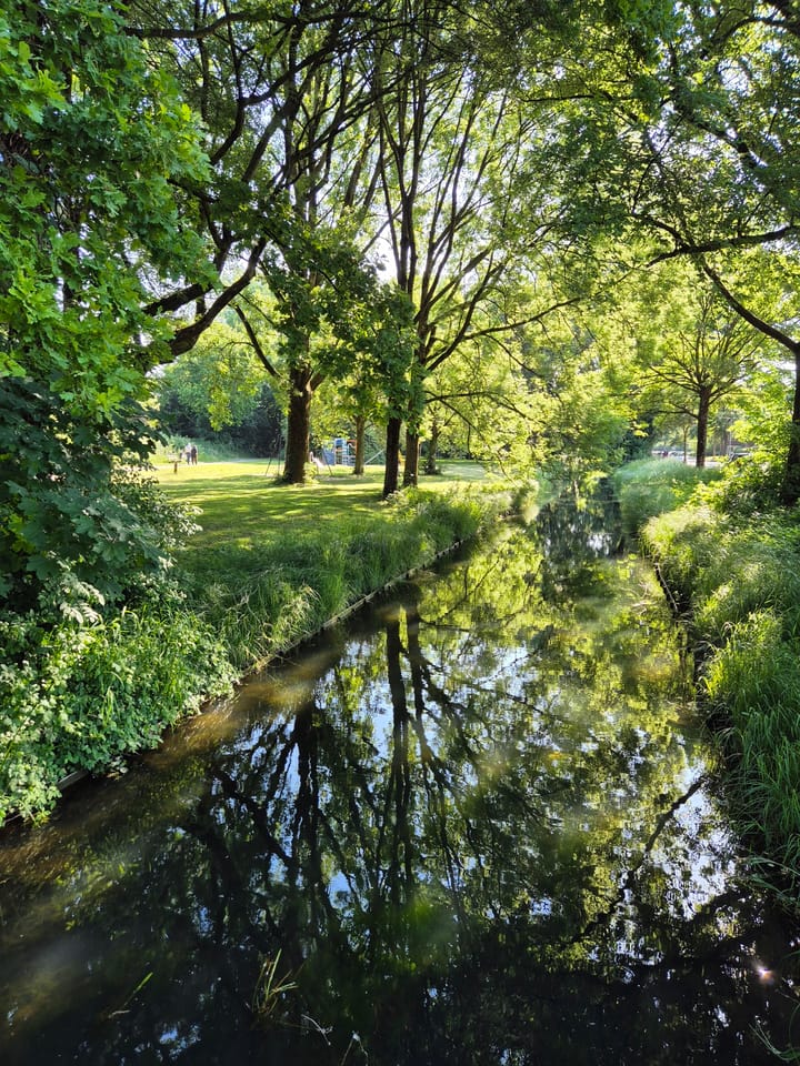 Foto 29 van Haagdoornstraat 20