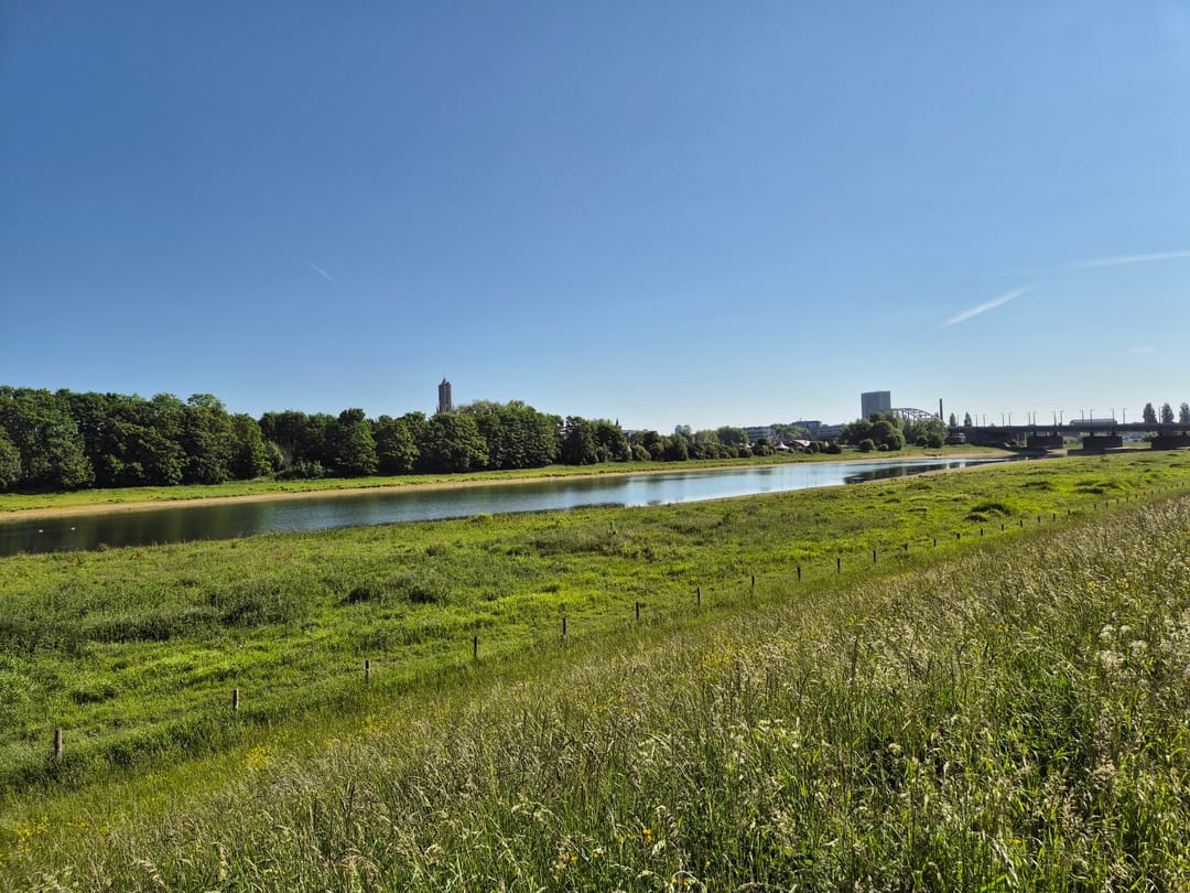 Foto 31 van Haagdoornstraat 20