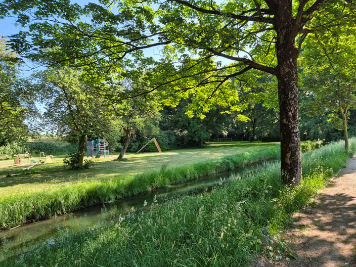 Foto 30 van Haagdoornstraat 20