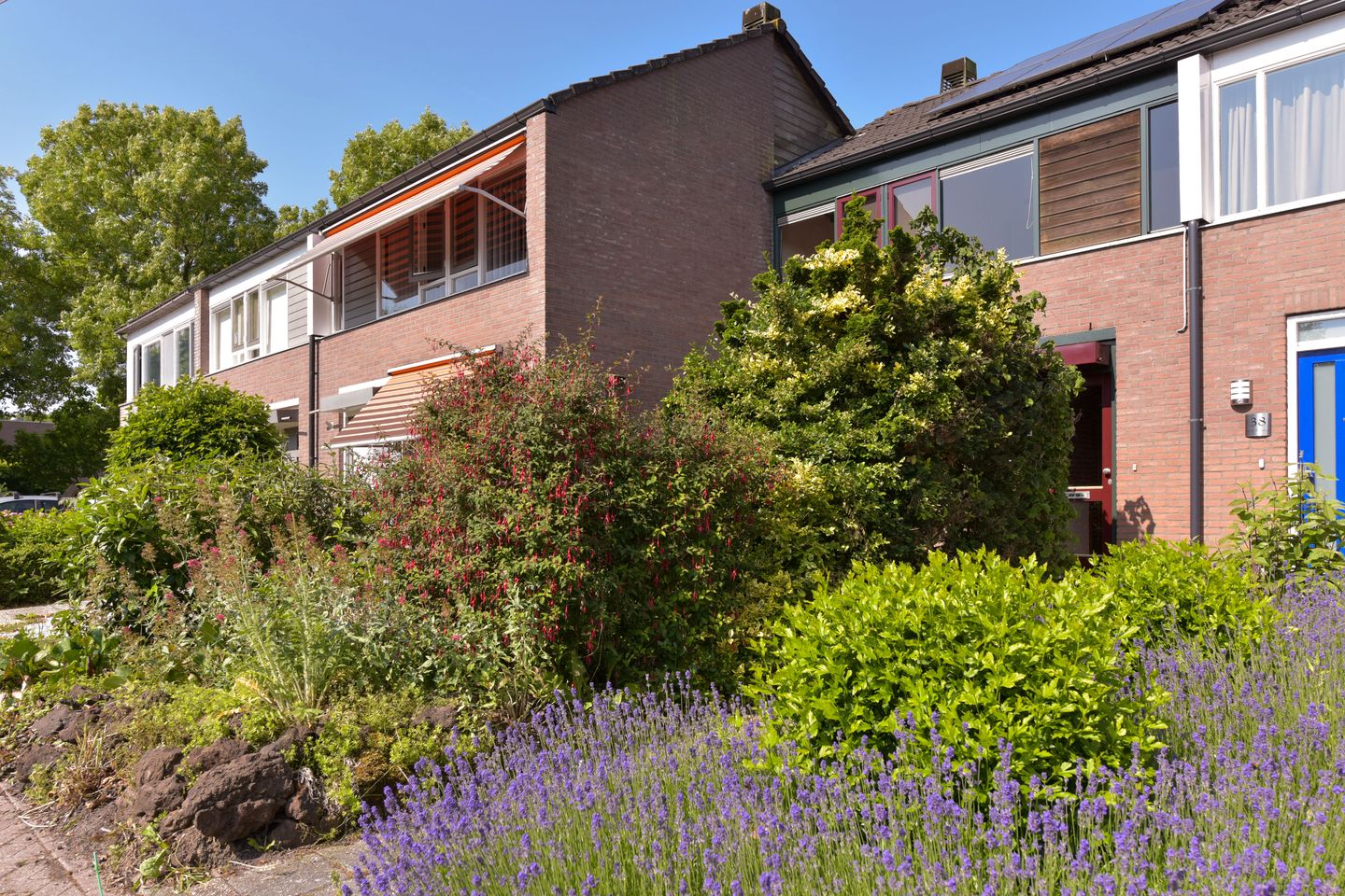 Foto 5 van Briljant 40