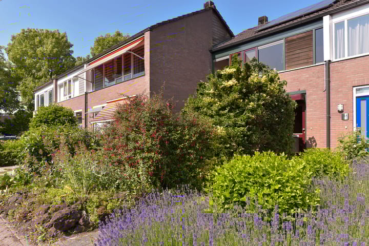 Foto 5 van Briljant 40