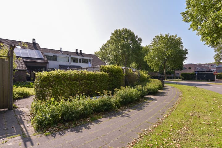 Foto 29 van Briljant 40