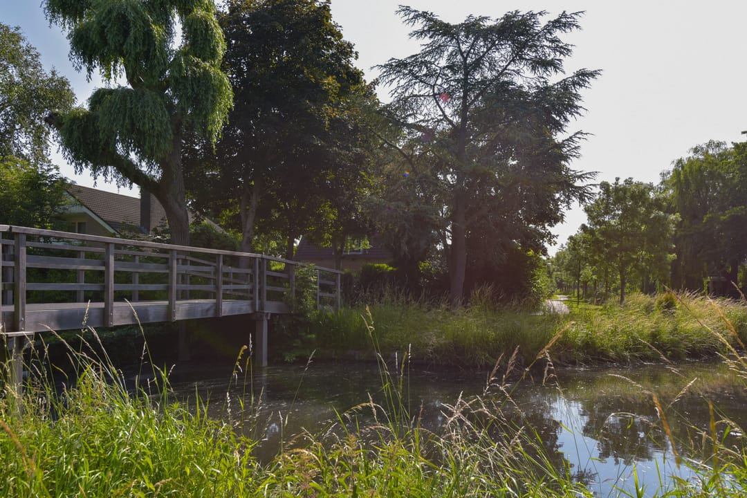 Foto 31 van Briljant 40