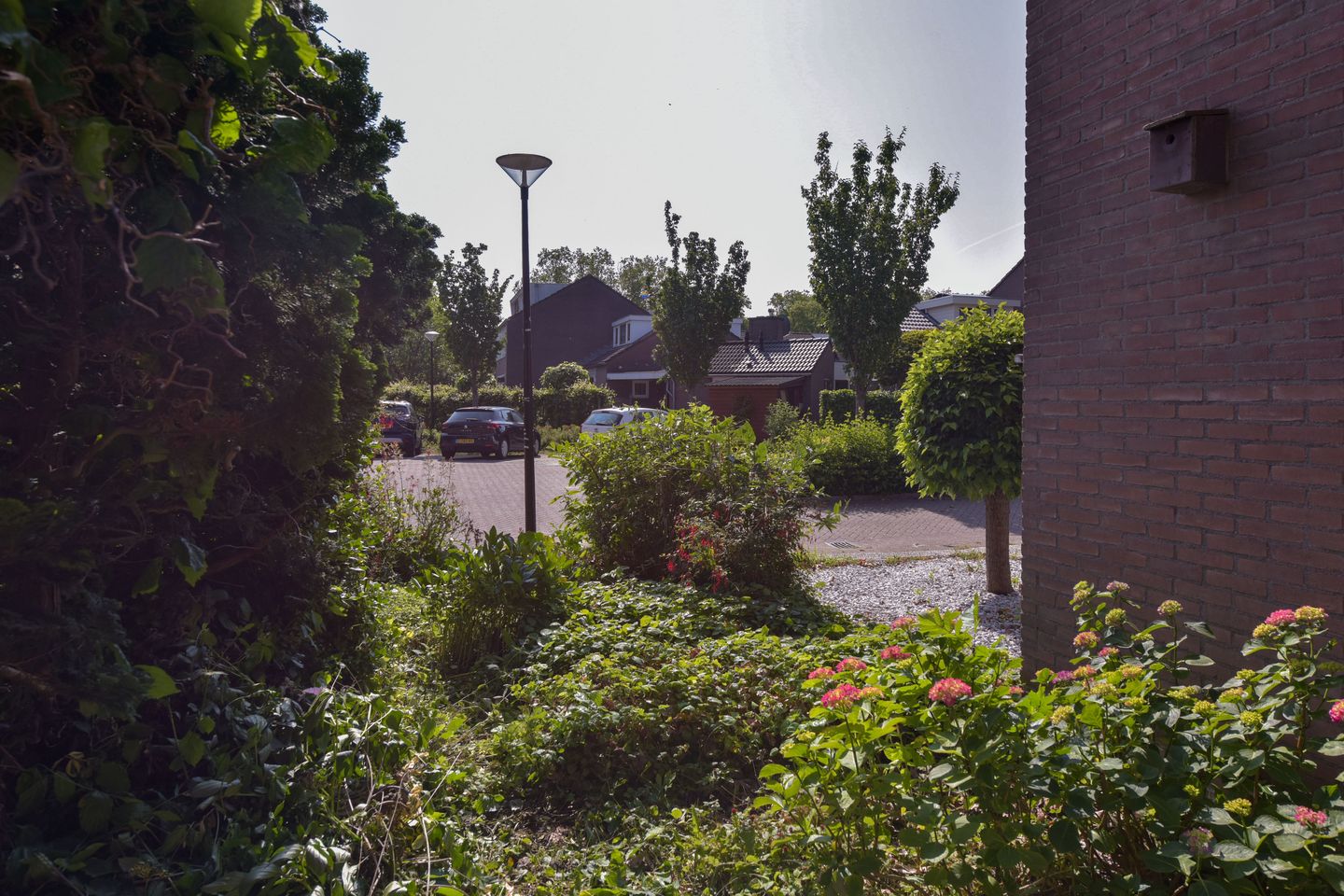 Foto 34 van Briljant 40