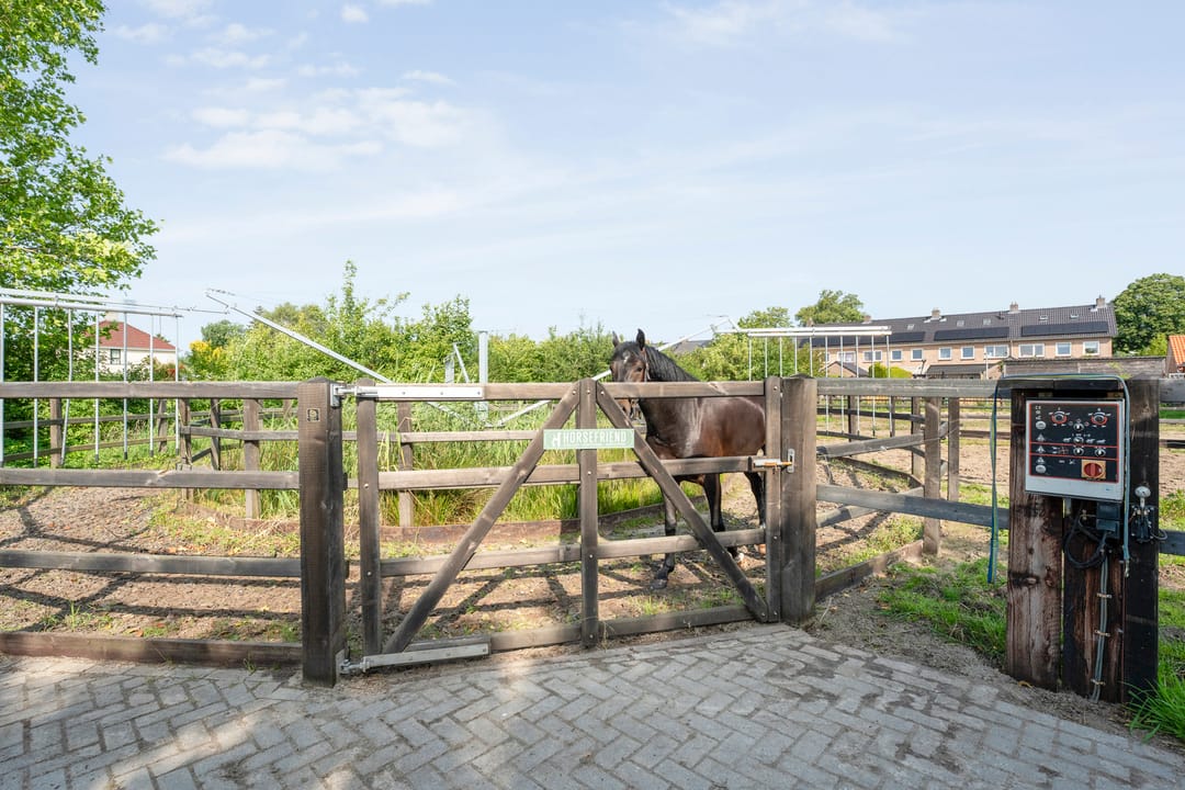 Foto 31 van Kastanjelaan 54