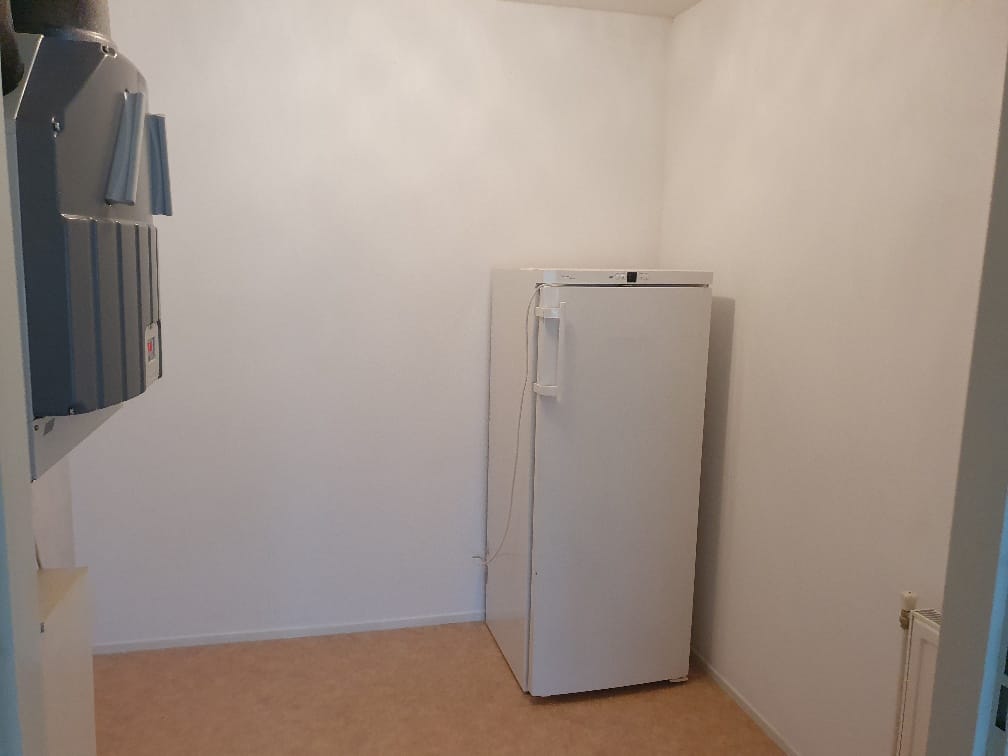 Photo 22 of Nachtegaalstraat 50