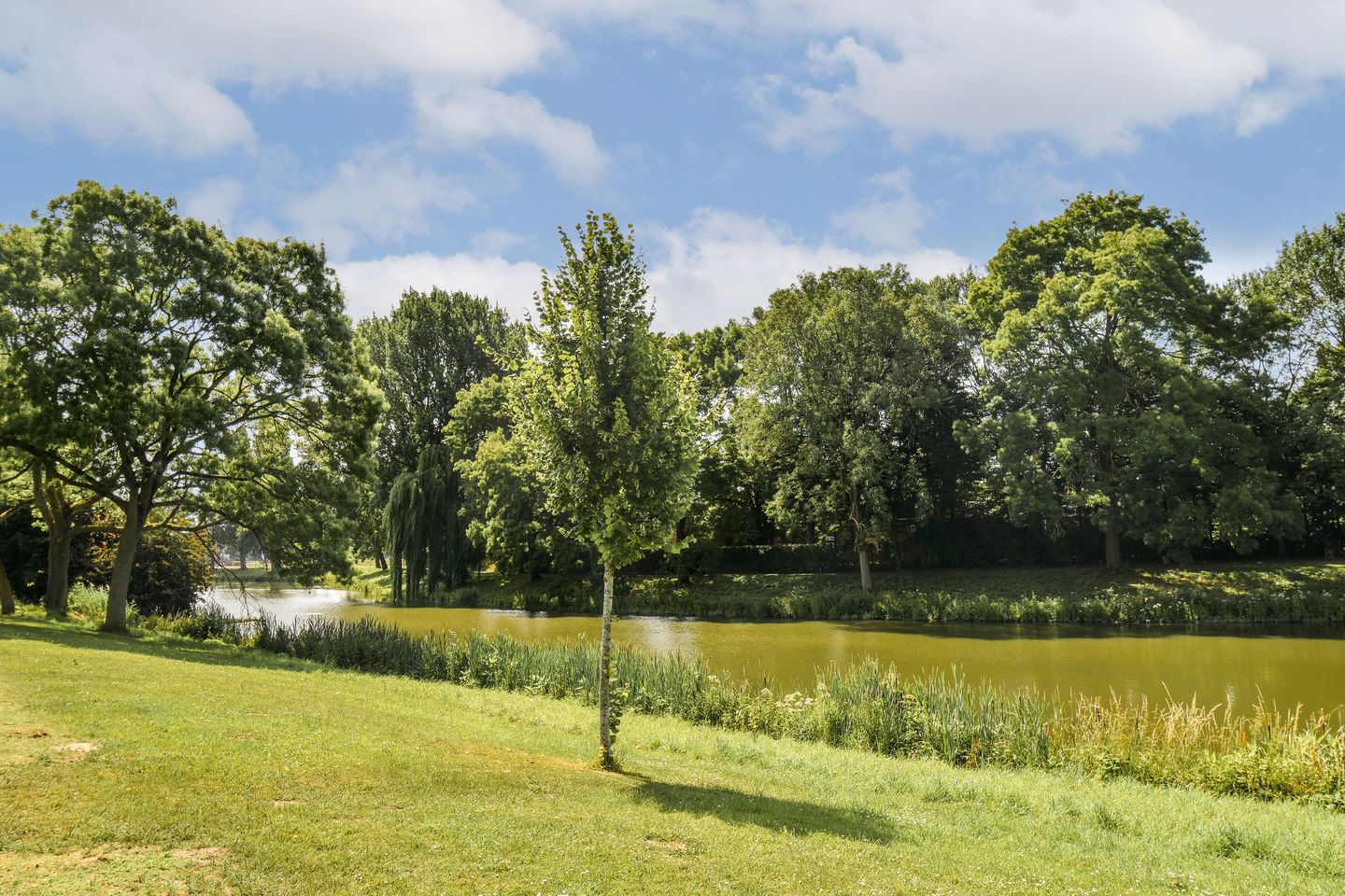 Foto 44 van Vlijweg 4