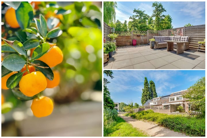 Foto 20 van Vlasdonk 23