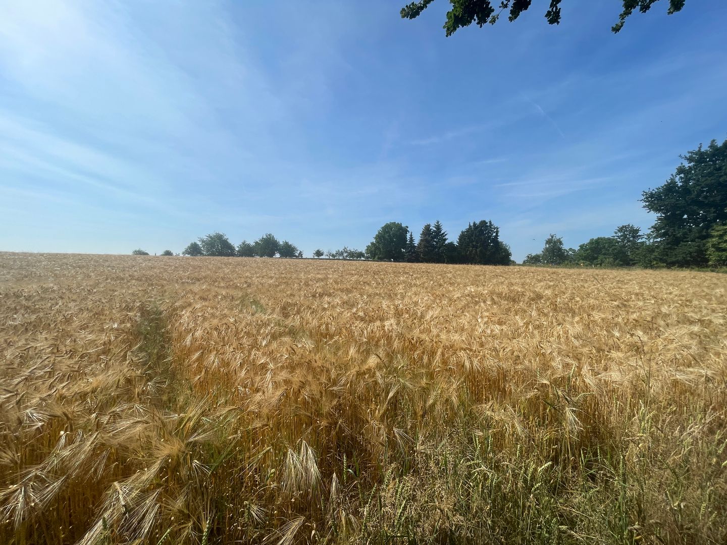 View photo 3 of Grijzegraaf