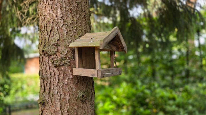 Foto 10 van Hanendorperweg 512