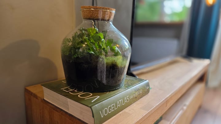 Foto 21 van Hanendorperweg 512