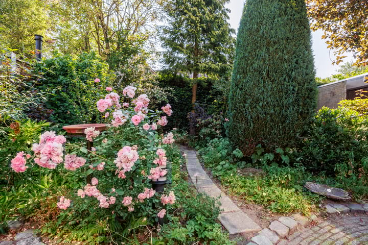 Foto 26 van Zocherstraat 27