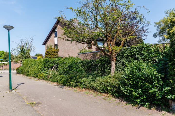 Foto 50 van Zocherstraat 27