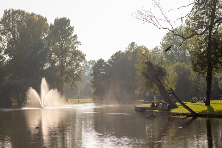 Foto 23 van Rustenburgerstraat 270-4