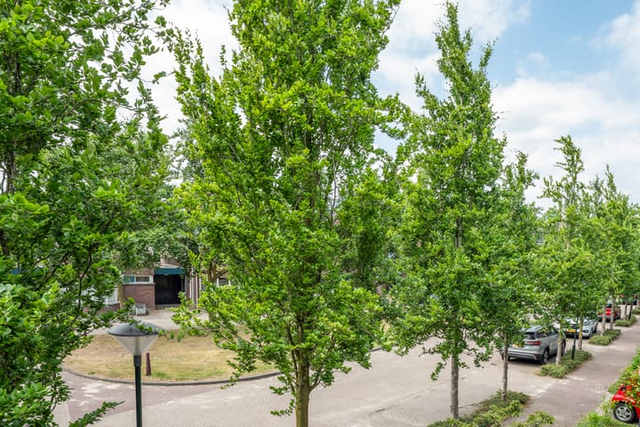 Foto 24 van Het Doel 4