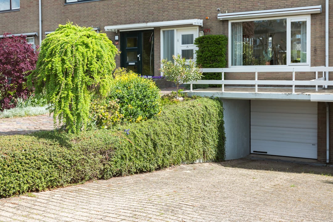 Foto 8 van Rodenrijseweg 171