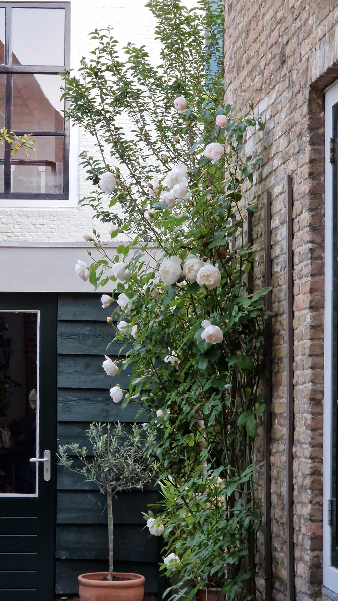 Photo 29 of Groenewoud 26