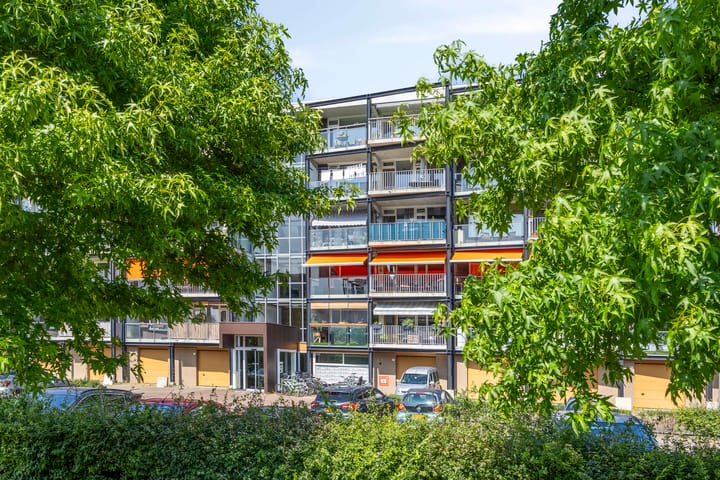 Foto 5 van Cort van der Lindenlaan 5