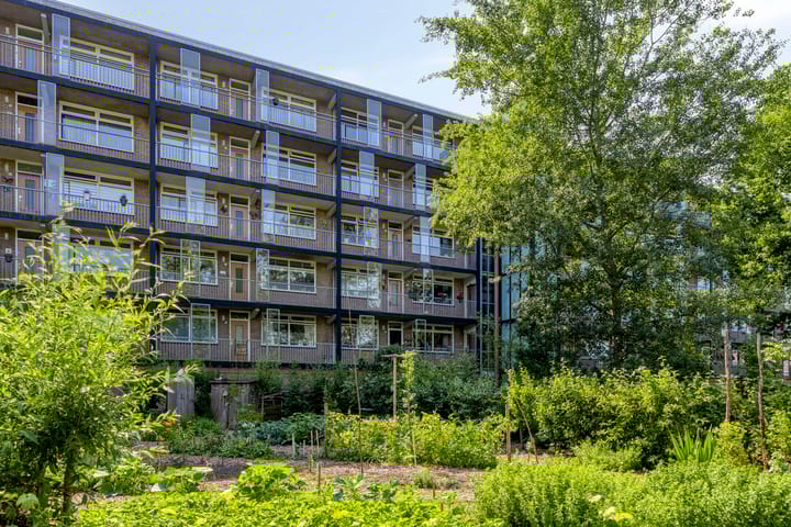 Foto 9 van Cort van der Lindenlaan 5