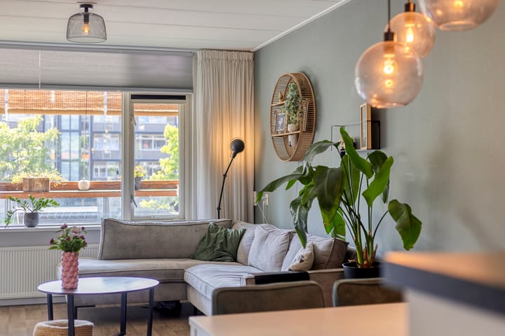 Foto 21 van Cort van der Lindenlaan 5